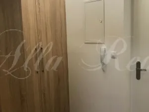 Pronájem bytu 2+kk, Brno - Zábrdovice, Francouzská, 40 m2