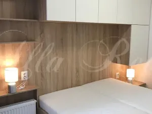 Pronájem bytu 2+kk, Brno - Zábrdovice, Francouzská, 40 m2