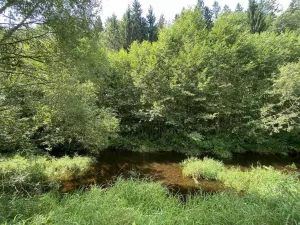 Prodej pozemku, Kaplice - Blansko, 843 m2