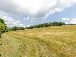 Prodej domu, Neveklov - Borovka, 550 m2