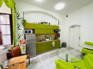 Pronájem apartmánu, Karlovy Vary, Zámecký vrch, 200 m2