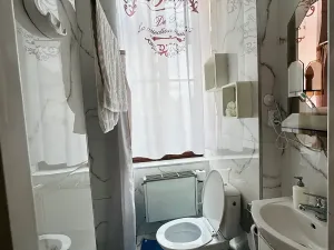 Pronájem apartmánu, Karlovy Vary, Zámecký vrch, 200 m2