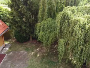 Prodej rodinného domu, Zvole, Přední, 230 m2