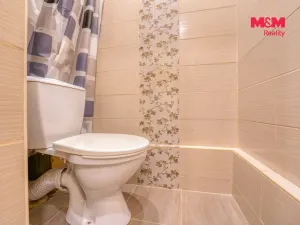 Pronájem bytu 1+1, Plzeň - Severní Předměstí, Elišky Krásnohorské, 32 m2