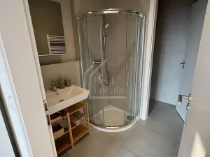 Pronájem bytu 1+kk, Praha - Holešovice, V háji, 36 m2