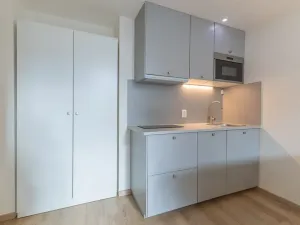 Pronájem bytu 1+kk, Praha - Holešovice, Na Maninách, 27 m2