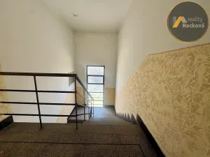 Prodej vícegeneračního domu, Kolín, Ke Hřbitovu, 264 m2