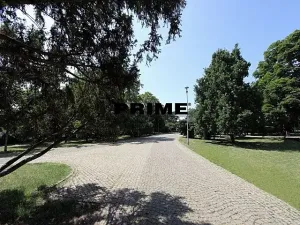 Pronájem bytu 2+kk, Praha - Vinohrady, Vinohradská, 50 m2
