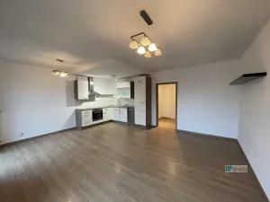 Pronájem bytu 1+kk, Zbuzany, Na Návsi, 42 m2