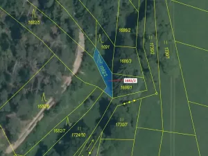 Dražba lesa, Trhový Štěpánov, 89 m2
