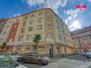 Pronájem bytu 1+1, Plzeň - Jižní Předměstí, Čechova, 43 m2