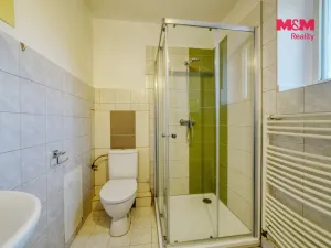 Pronájem bytu 1+kk, Cheb, Růžová, 27 m2