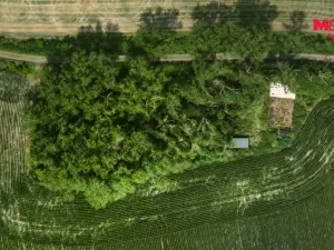 Prodej lesa, Libochovice - Dubany, 8199 m2