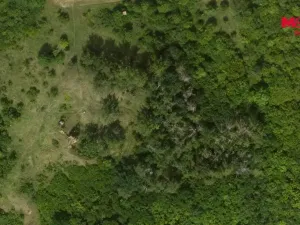 Prodej lesa, Libochovice - Dubany, 8199 m2