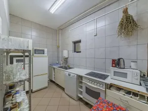 Prodej výrobních prostor, Velké Pavlovice, Trávníky, 400 m2