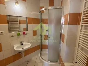 Prodej činžovního domu, Plzeň, Lindauerova, 776 m2