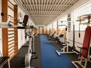 Prodej komerční nemovitosti, Děčín, Riegrova, 1200 m2