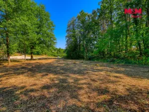 Prodej zahrady, Velký Bor - Slivonice, 2248 m2