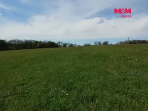 Prodej pozemku pro bydlení, Bílovec, 4600 m2
