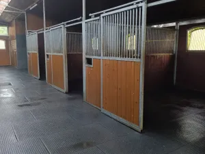 Pronájem zemědělského objektu, Hrádek nad Nisou - Václavice, 352 m2