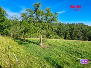 Prodej louky, Starý Šachov, 89774 m2