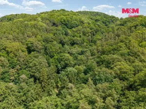 Prodej louky, Nosálov - Libovice, 13358 m2