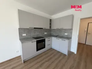 Pronájem bytu 1+kk, Předklášteří, Palackého, 27 m2