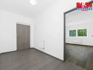 Prodej bytu 2+kk, Radnice, Na Potocích, 49 m2