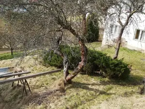 Prodej pozemku, Liberec - Liberec XXX-Vratislavice nad Nisou, Prosečská, 1708 m2
