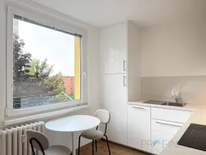 Pronájem bytu 1+1, Žamberk, 28. října, 35 m2