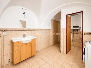 Prodej rodinného domu, Dolní Dunajovice, Hlavní, 244 m2