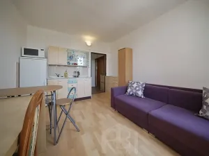 Pronájem bytu 1+kk, Jindřichův Hradec, sídliště U Nádraží, 20 m2