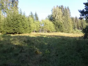 Prodej pole, Roztoky u Semil, 496 m2