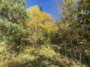 Prodej pole, Železný Brod - Střevelná, 2828 m2