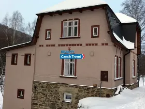 Pronájem bytu 4+1, Zlaté Hory, 170 m2