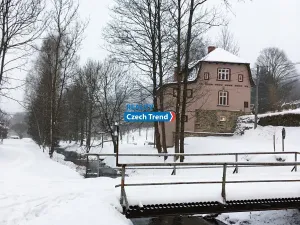 Pronájem bytu 4+1, Zlaté Hory, 170 m2