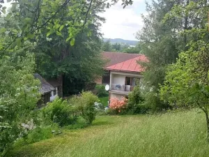 Prodej zemědělské usedlosti, Kunvald, 160 m2