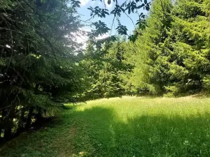 Prodej zemědělské usedlosti, Kunvald, 160 m2