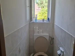 Prodej rodinného domu, Velký Týnec, Na kopci, 134 m2