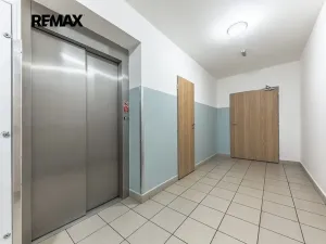 Pronájem bytu 1+kk, Klecany, V Honech, 30 m2