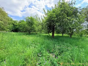 Prodej rodinného domu, Bozkov, 205 m2