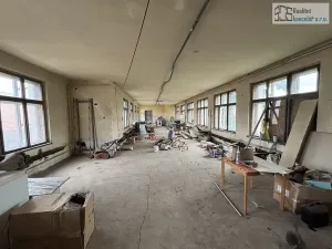 Prodej rodinného domu, Ruprechtov, 620 m2