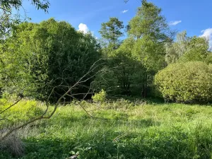 Prodej louky, Oselce, 9182 m2