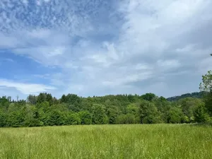 Prodej pole, Oselce, 8654 m2