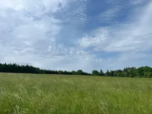 Prodej pole, Oselce, 8654 m2