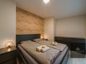 Prodej bytu 5+kk, Praha - Žižkov, Hartigova, 124 m2