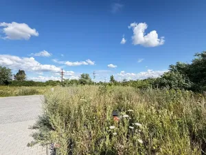 Prodej pozemku pro bydlení, Mikulov, Odbojářů, 721 m2