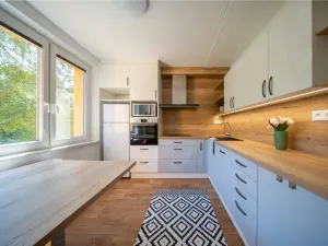 Prodej bytu 1+1, Brno, Kuršova, 41 m2