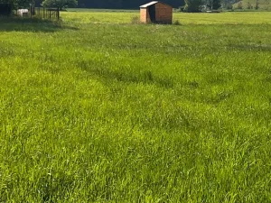 Prodej pozemku pro bydlení, Dobrá, 1044 m2