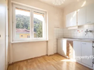 Prodej bytu 1+1, Velké Březno, Litoměřická, 31 m2